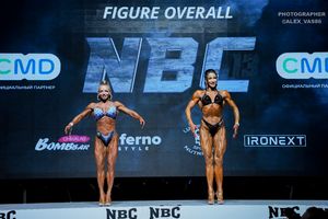 FIGURE OVERALL